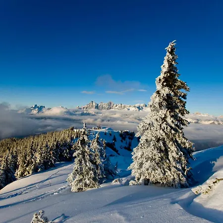 Hotel Schladmingerhof