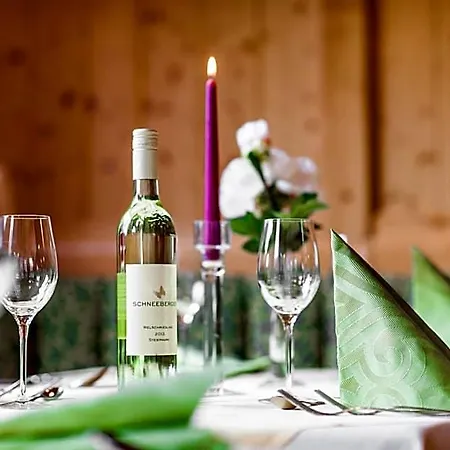 Schladmingerhof Hotel 3*