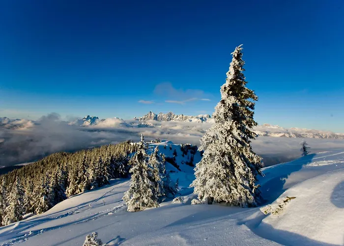 Hotel Schladmingerhof
